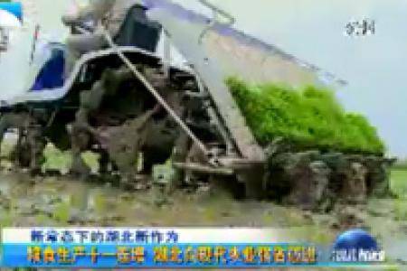 【湖北新闻】湖北向现代农业强省迈进