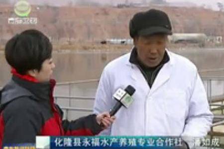 【青海新闻联播】“黄河彩篮”描绘高原多彩农业