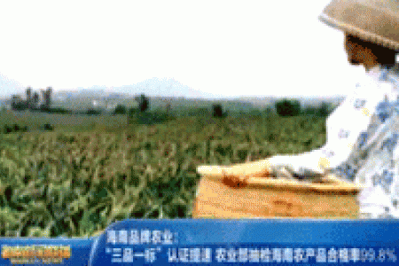 农业部抽检海南农产品合格率99.8%