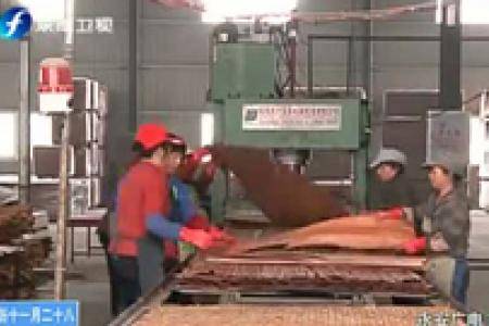 福建：19家林业合作社入选国家级农民合作社示范社