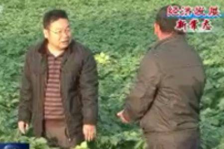 广东：引导农村承包土地向家庭农场流转