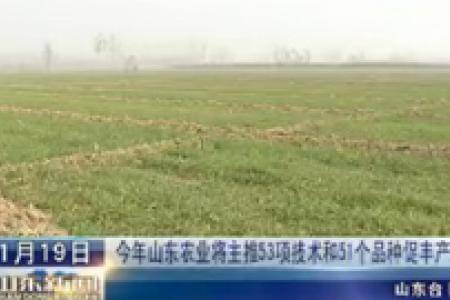 今年山东农业将主推53项技术和51个品种促丰收增产