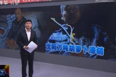 沈阳万吨胡萝卜滞销