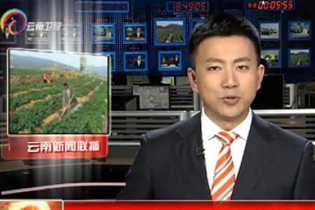 云南玉溪文山曲靖积极采取措施保春耕