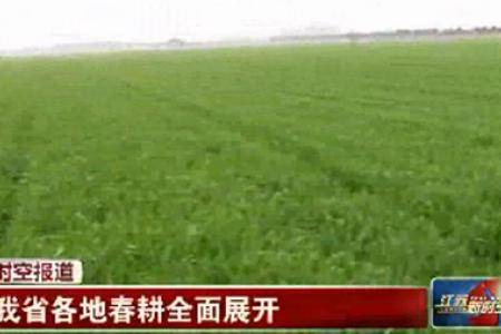 江苏省各地春耕全面展开