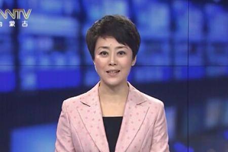 内蒙古宁城县：农机产业由“做大”转向“做专”