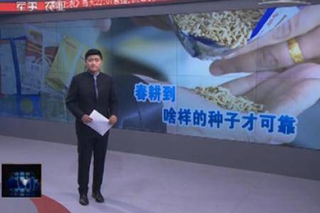 春耕到，啥样的种子才可靠