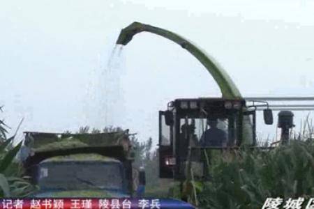 德州市华北农机装备有限公司青饲料收获机大显神通