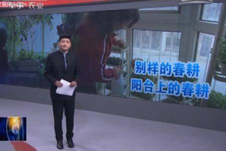 别样的春耕