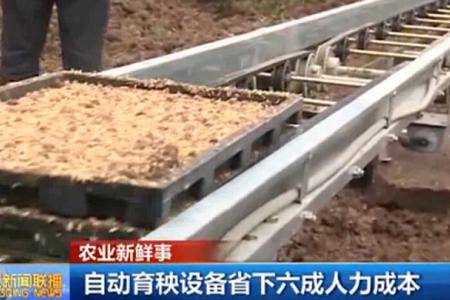重庆自动育秧设备省下六成人力成本