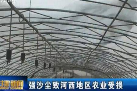 甘肃：强沙尘致河西地区农业受损