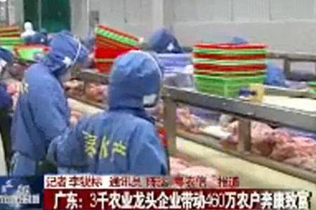 广东：3千农业龙头企业带动460万农户奔康致富