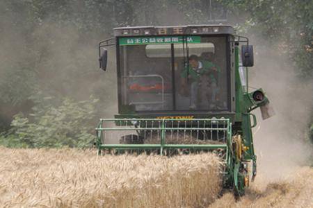 中联重科谷王TB60小麦机在四川德阳地区实地作业