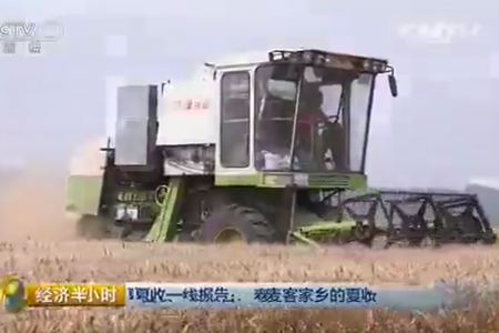 夏收一线报告：麦客家乡的夏收