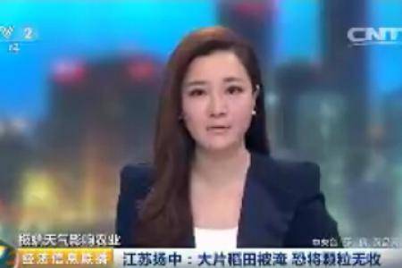 江苏扬中：大片稻田被淹 恐将颗粒无收