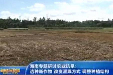 海南专题研讨农业抗旱