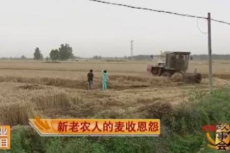 2015年麦收故事会：新老农人的麦收恩怨