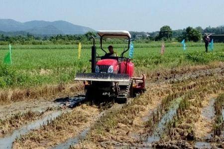 广东韶关实验：东方红C602S702S轻型履带拖拉机