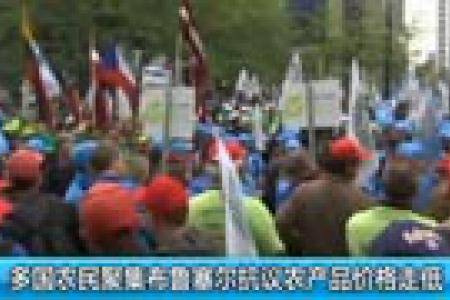 多国农民聚集布鲁塞尔抗议农产品价格走低