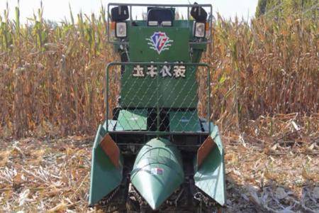 山东玉丰2行履带式自走式玉米收获机