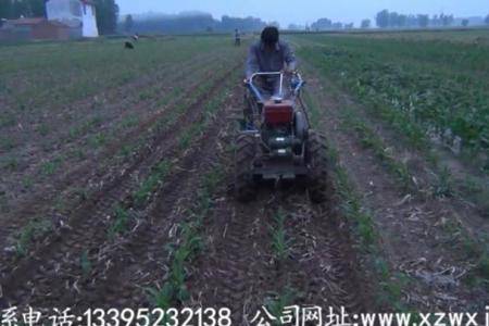 万鑫佳玉米(棉花)大蒜套种大蒜收获机