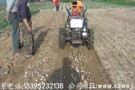 万鑫佳玉米(棉花)大蒜套种大蒜收获机1