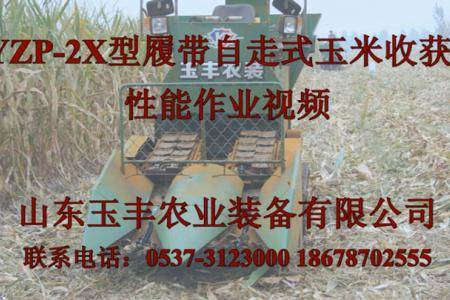 山东玉丰4YZP-2X履带自走式玉米收获机作业视频
