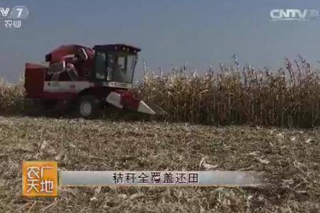 东北地区玉米保护性耕作模式