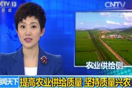 2017中央一号文件：提高农业供给质量 坚持质量兴农