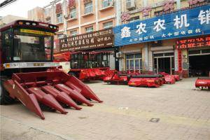 IMG_20150805_162245