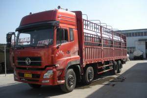 20000L1