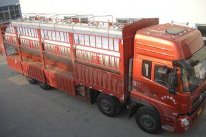 20000L