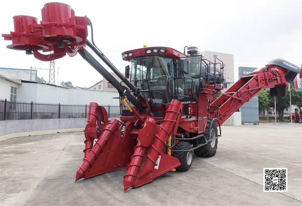刻盘 甘蔗A8000-11.jpg