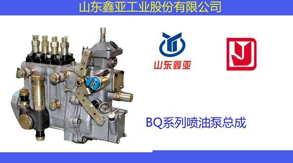 BQ系列喷油泵总成2600_02.jpg