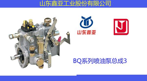 BQ系列喷油泵总成3600_02.jpg