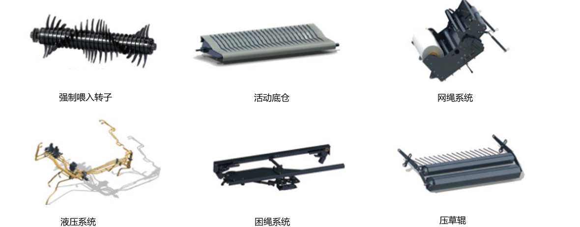 细节.jpg