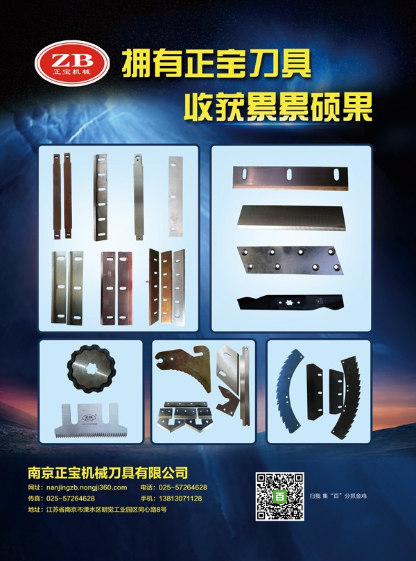 南京正宝定稿600.jpg