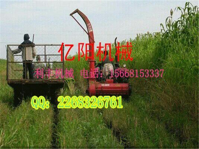复件 (2) QQ图片20170406132045