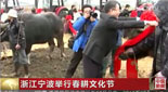 浙江宁波举行春耕文化节