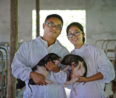 春耕2.0：城会玩？农更会玩