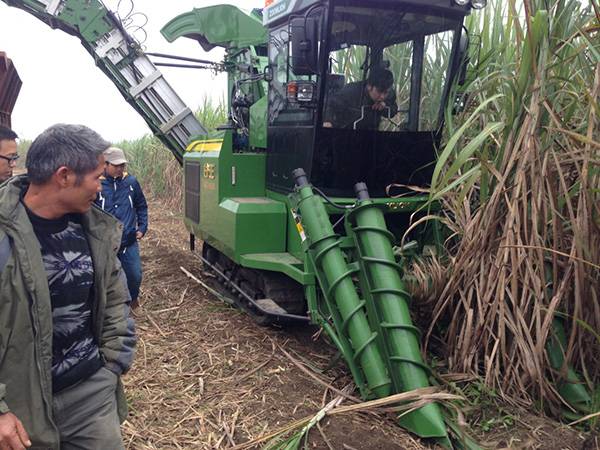 中联重科"谷王"甘蔗机,助力广西"双高"糖料蔗基地建设
