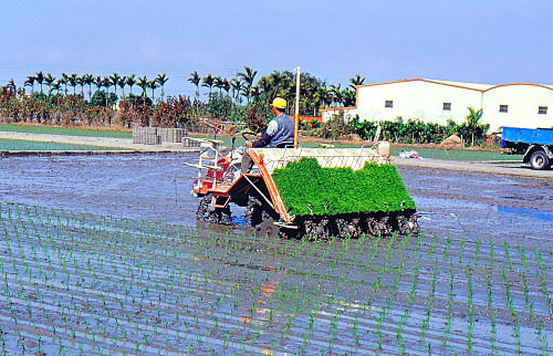 > 水稻育插秧机械化