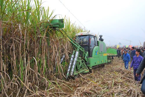 甘蔗收割机让"甜蜜的事业"更甜