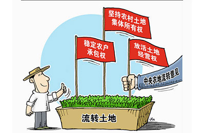 引导农村土地经营权有序流转