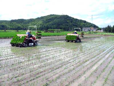 共赢农业机械服务全国跨区耕种收	的简单介绍