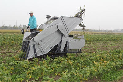 国内首台青毛豆联合收获机通过鉴定 获得成功