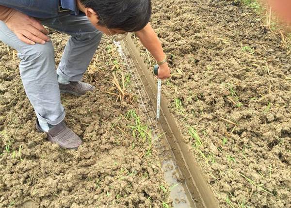 智能化油菜联合作业播种机试验成功