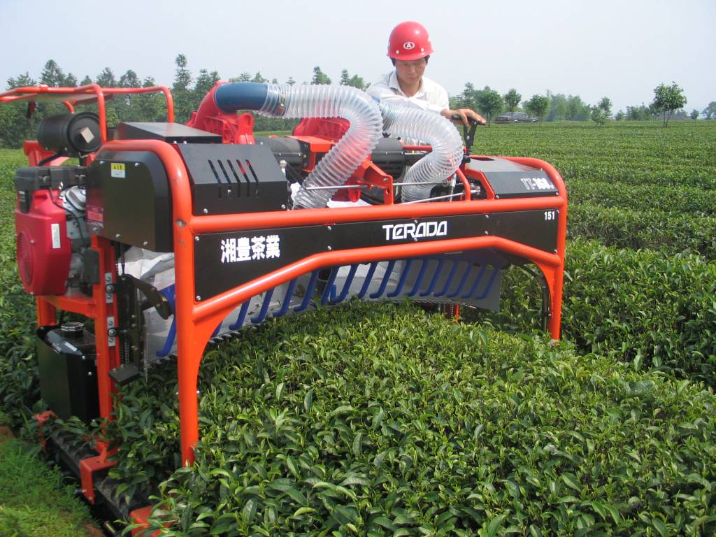 茶籽采摘机器图片