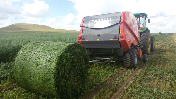 马斯奇奥mondiale系列圆捆打捆机