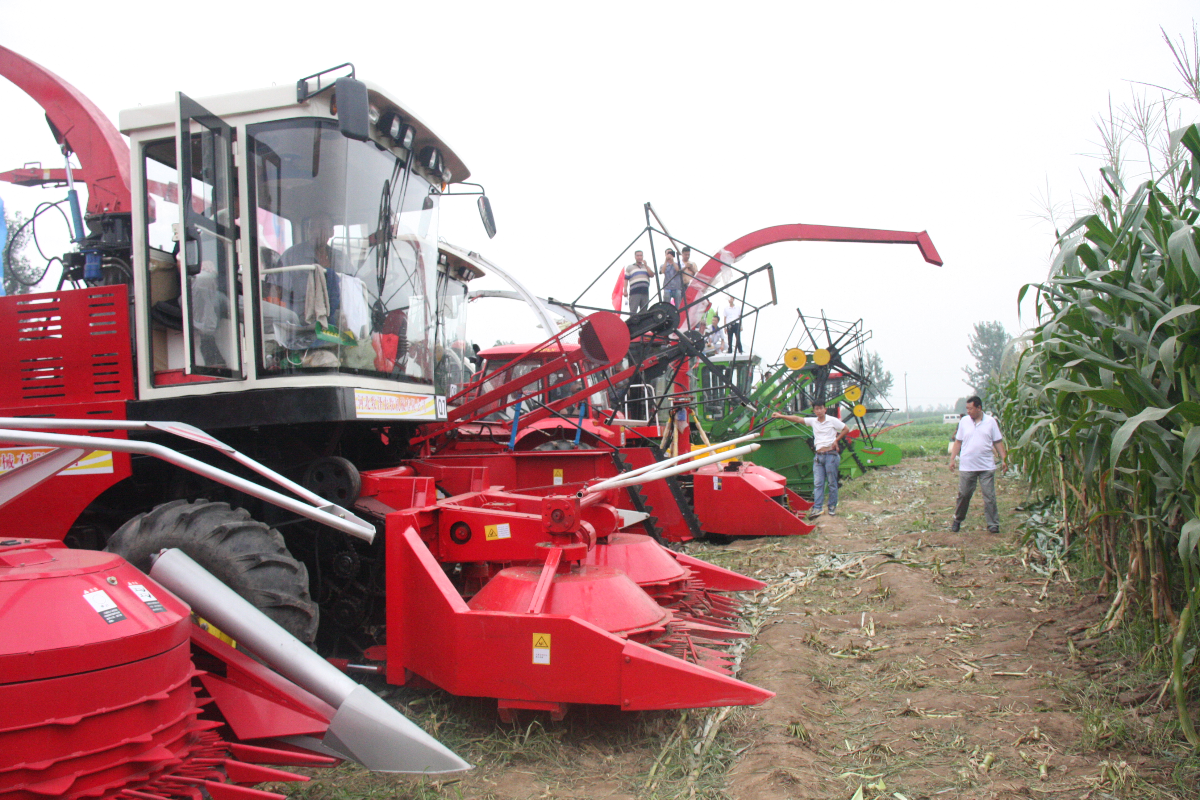 牧泽4qz-14a青贮机 自走式青贮机 青饲料收获机